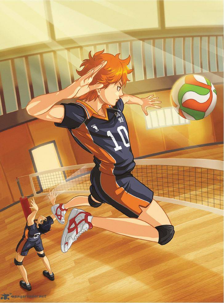Chapter 186 - Volleyball Maniacs Image(20)