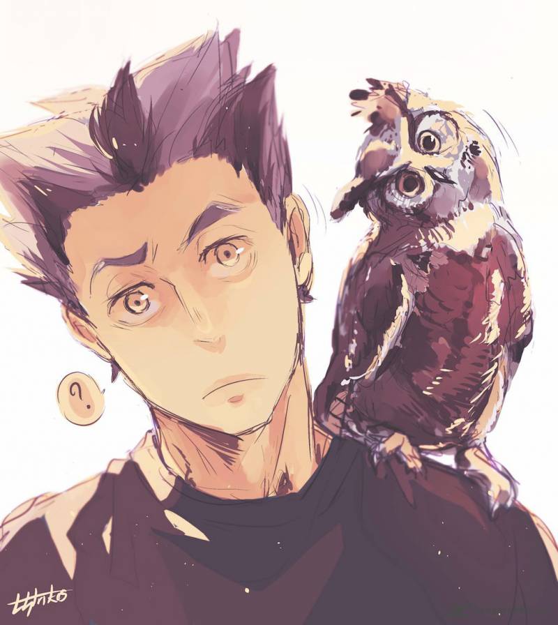 Chapter 195 - Land vs Sky Image(19)