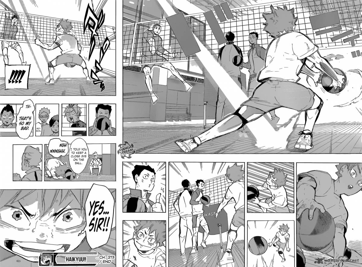 Chapter 213 - Ball Boy Lv.1 Image(19)