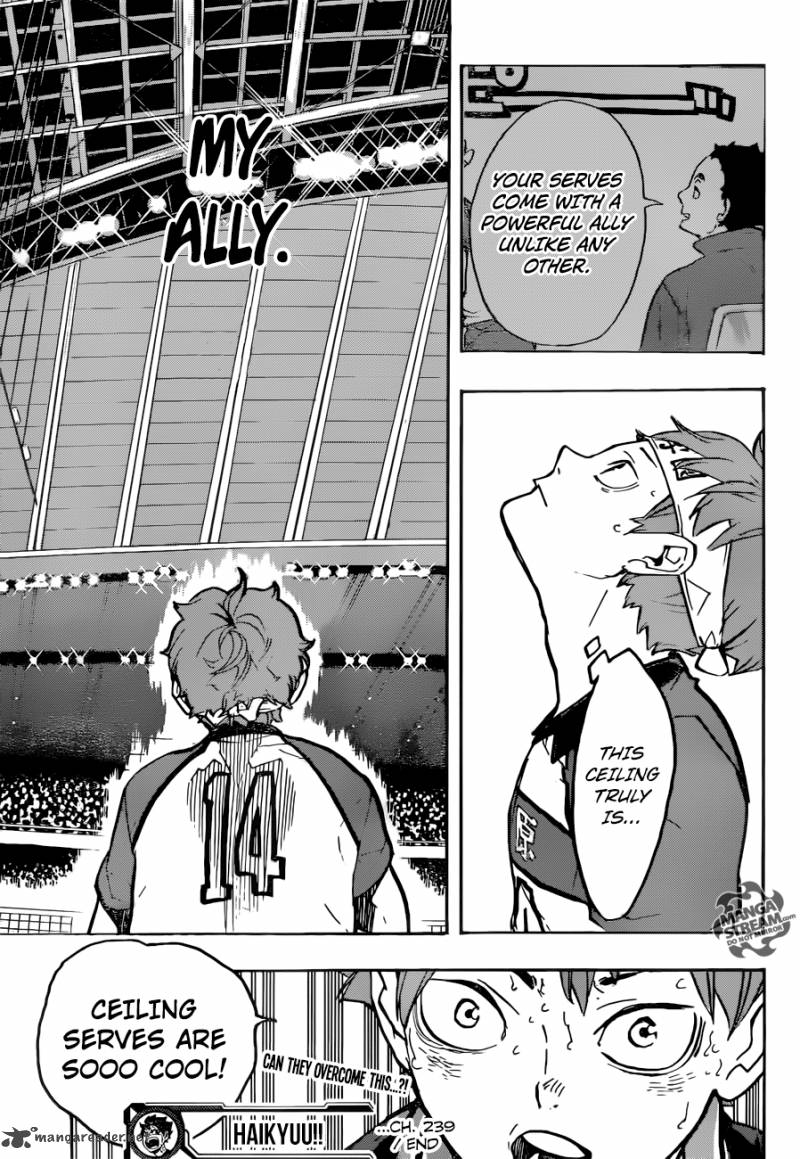 Chapter 239 - Ally Image(22)