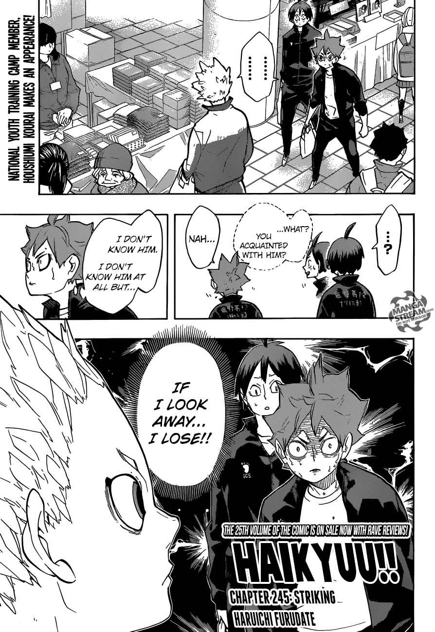 Chapter 245 - Striking Image(1)