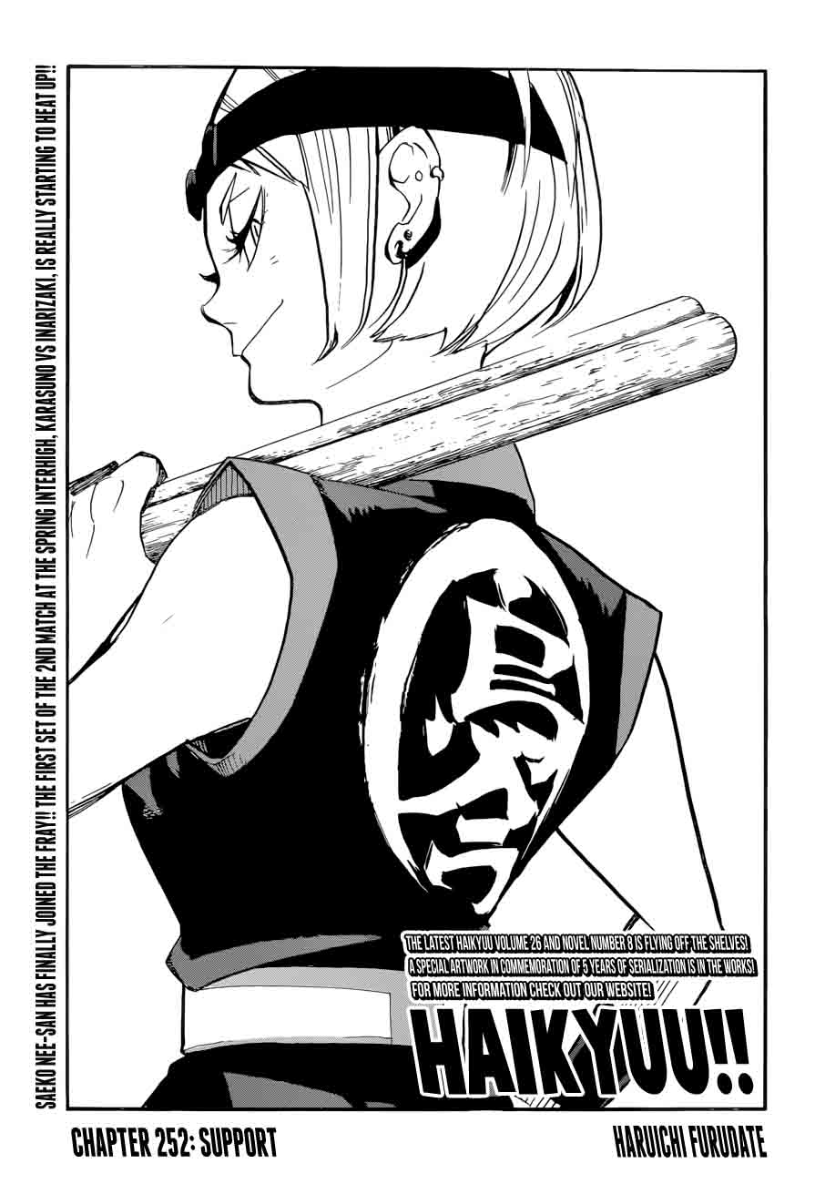 Chapter 252 - Support Image(1)