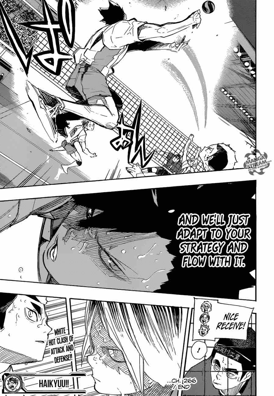 Chapter 266 - Cats vs Monkeys Image(41)