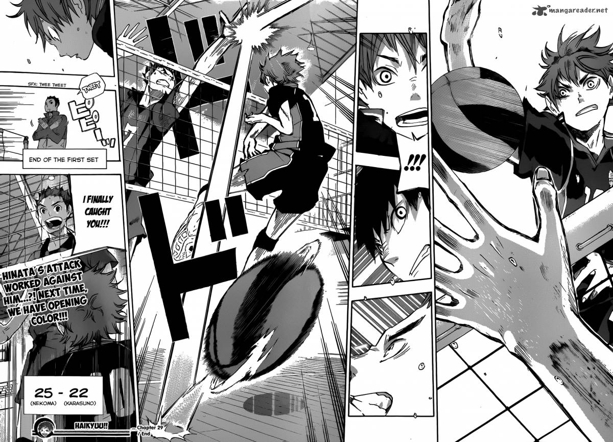 Chapter 29 - The Brain Image(20)
